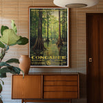 Congaree National Park Print