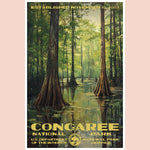 Congaree National Park Print