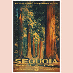 Sequoia National Park Print